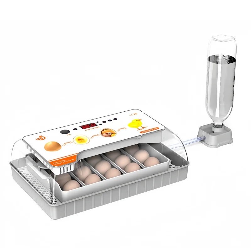 

Full Automatic 20 Eggs Incubator for Chicken Quail Duck Mini Farm Home Incubator Hatching Machine