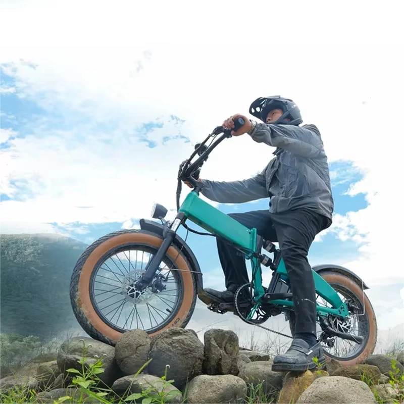 

Задняя ступица, бесщеточный двигатель, складной электрический велосипед с регулируемой скоростью, шестерни для взрослых, горный велосипед, электрический велосипед