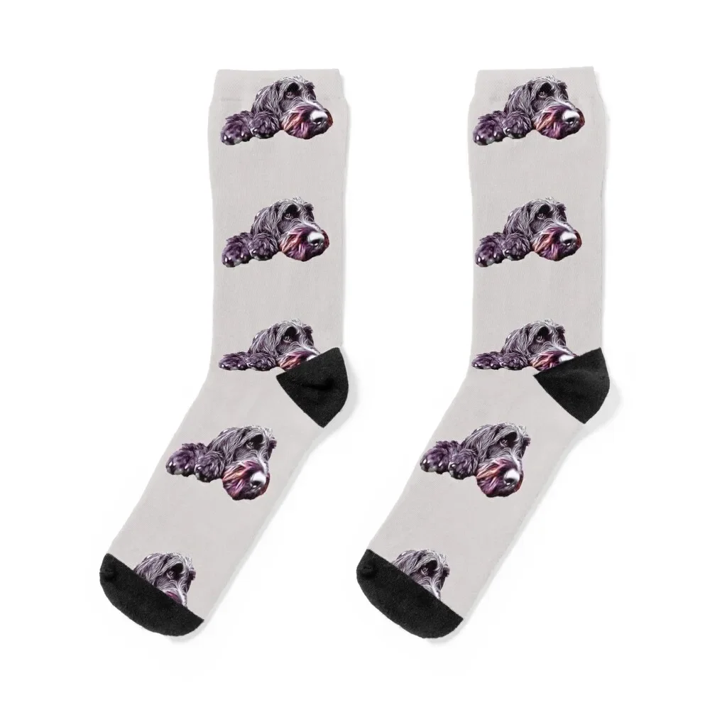 

Labradoodle Doodle Dog Poodle Mix Dog Socks new year sheer hip hop anime Woman Socks Men's