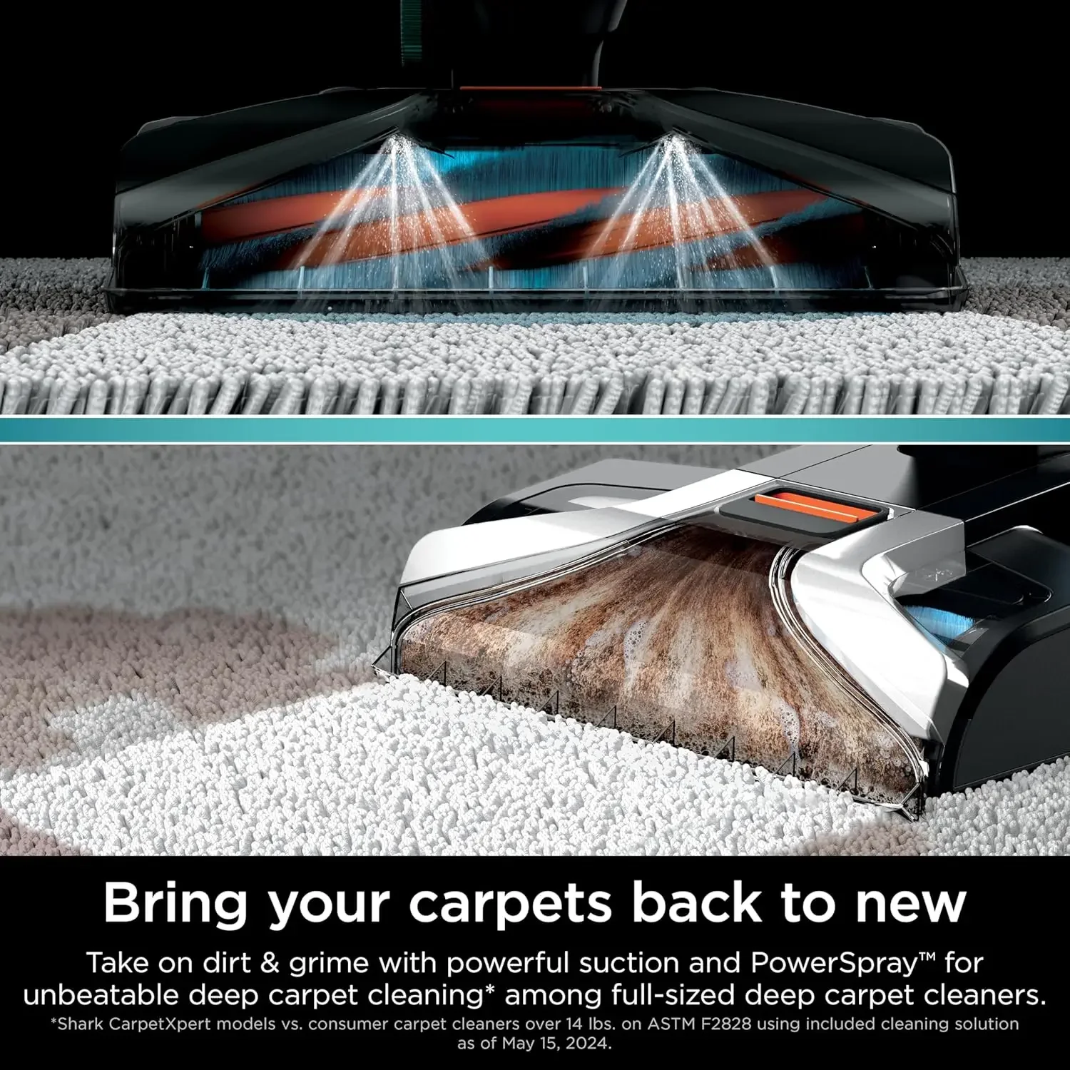 EX201 CarpetXpert Upright Carpet, Area Rug & Upholstery Cleaner with StainStriker, Built-in Spot & Stain Cleaner