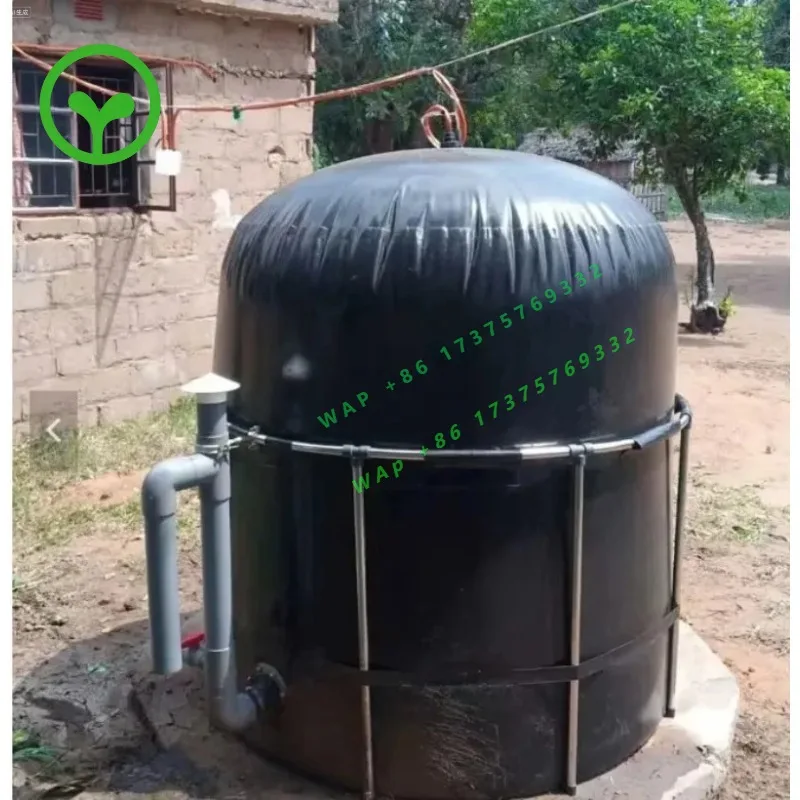 Small Home Bio  Digester System Plant Convert Household Food Residue Organic Waste to Cooking   Fuel