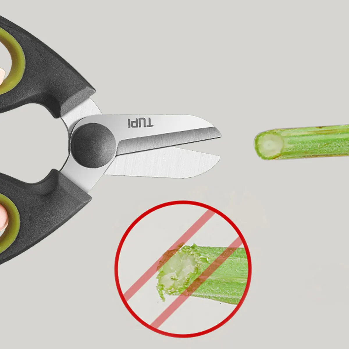 Professional Gardening Scissors & Pruning Shears, Stainless Steel Gardening Shears for Plant, Flower, Grafting, Garden, Home Use