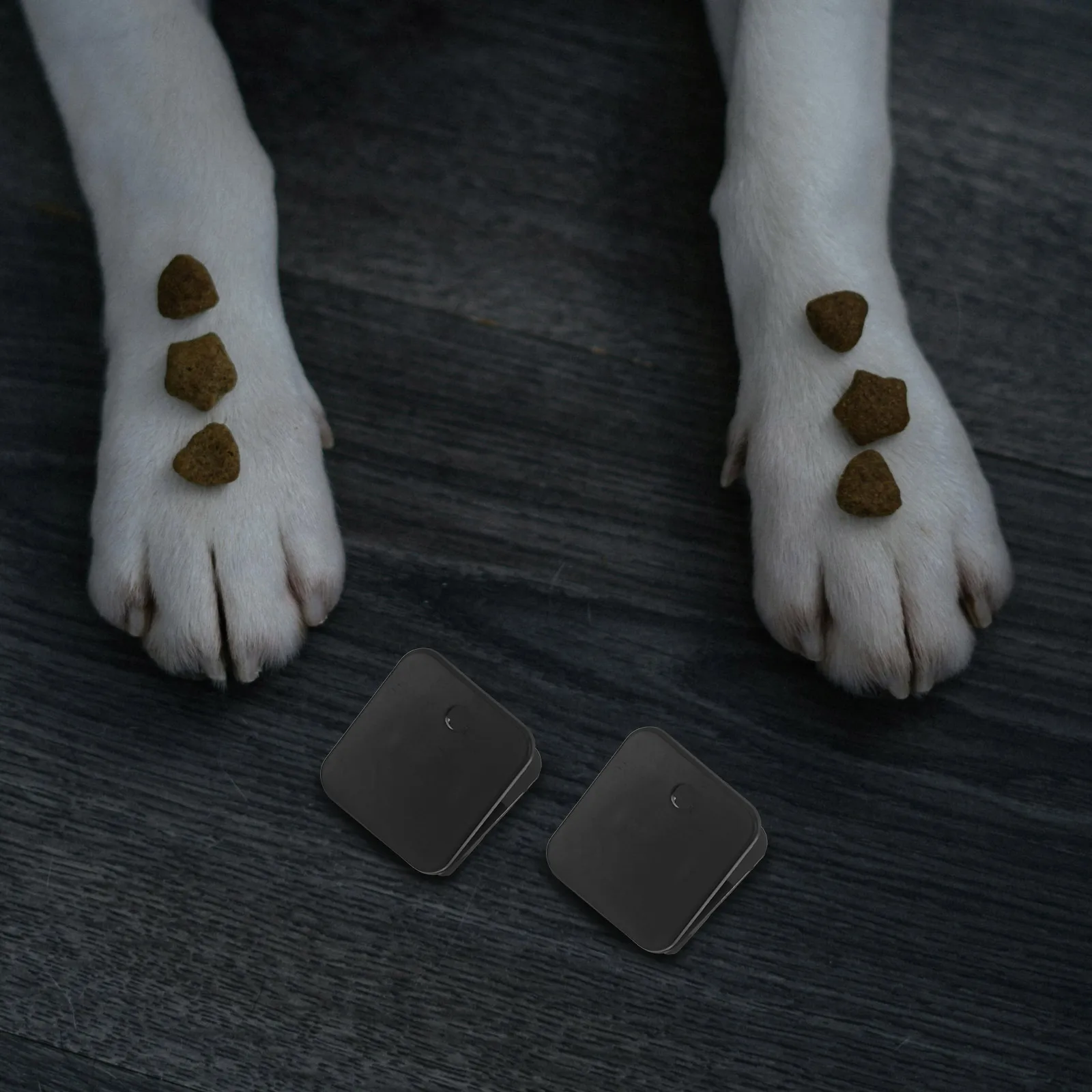 

6pcs Dog Potty Pad Holder Wall Mounted Pee Pad Sticky Clips Adhesive Training Puppy Durable Indoor Outdoor Pet Supplies Bracket