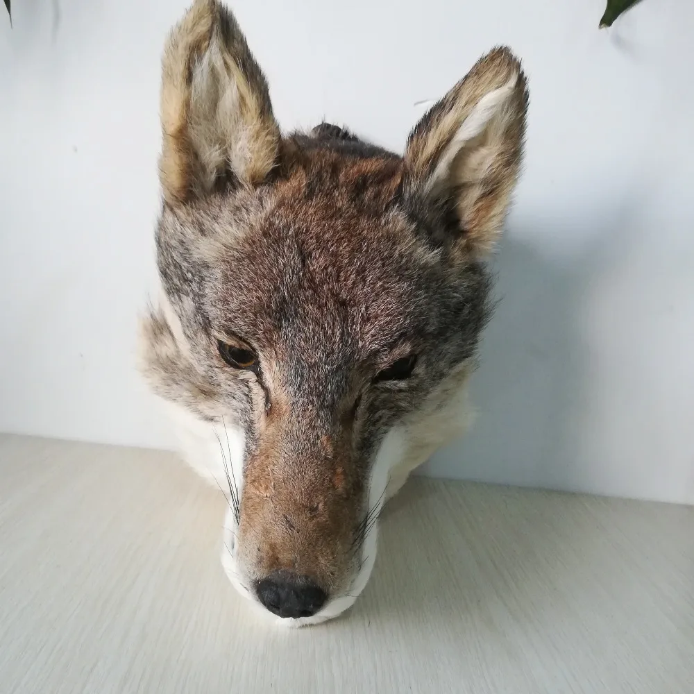 Nuevo modelo de cabeza de lobo de polietileno y pieles de la vida real, colgante de pared, accesorio artesanal de aproximadamente 30x25cm