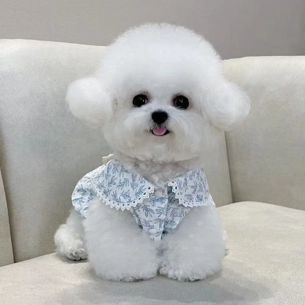 

Blue Floral Dog Clothes Summer Thin Traction Dress French Fairy Skirt New Pet Bichon Pullover Female Dog Clothes XS-XL