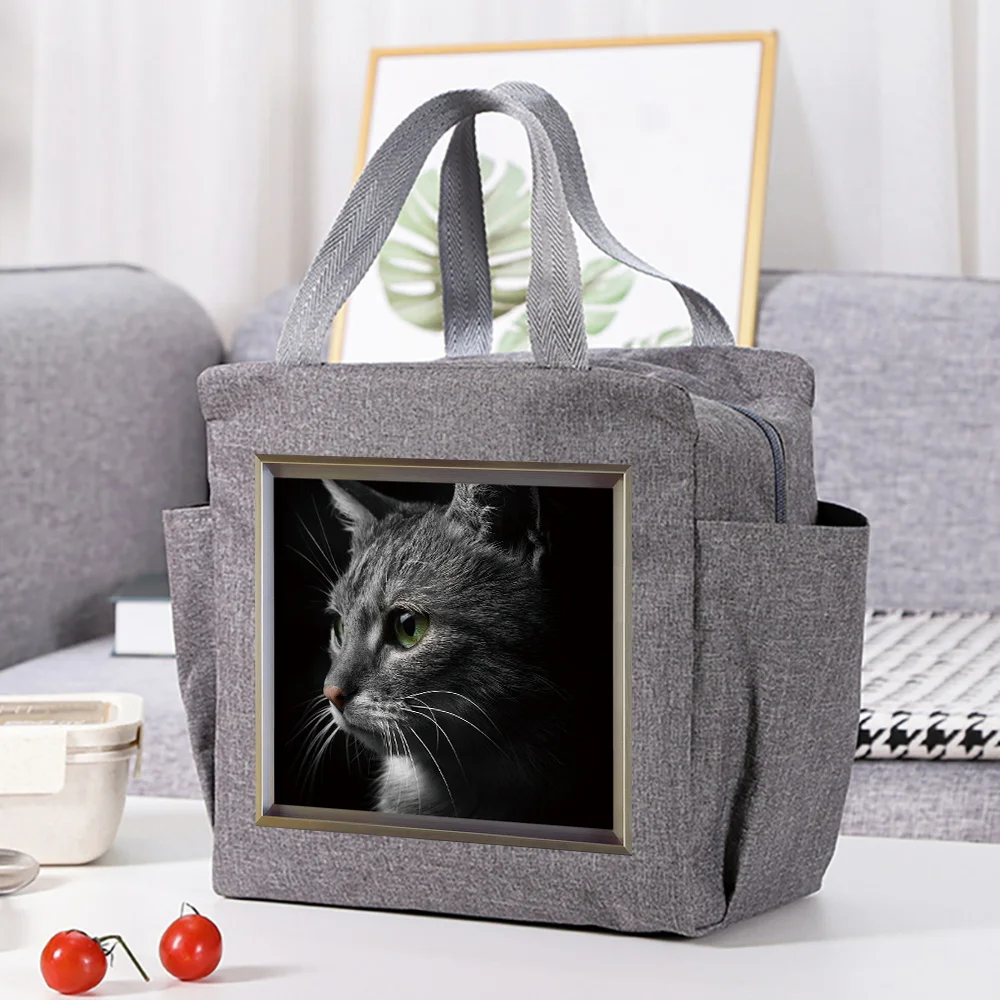 Picnic Travel Cooler Box for School Portable Insulated Lunch Bag Animal Series Printing Pattern Breakfast Box Canvas Handbags