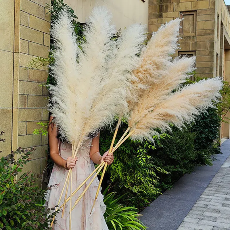 

110cm Dried Flowers Natural Fluffy Large Pampas Grass Home Garden ​Decoration Reed Decor Wedding Decorations Flower Bouquet Gift