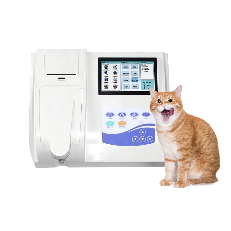 

CONTEC BC300 VET Clinical Portable Biochemical Automated Chemistry Veterinary Analyzer
