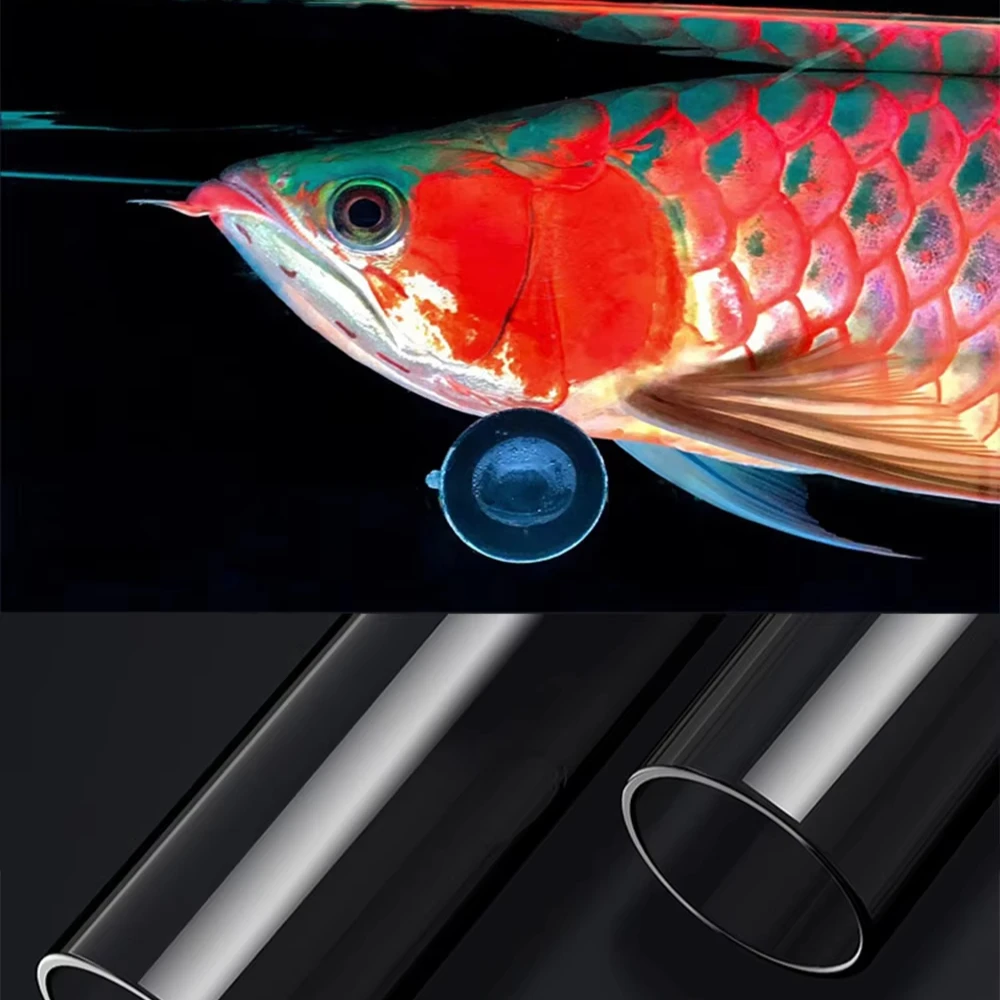 Red Arowana Tanning Light Special Glass Brightened Color Diving