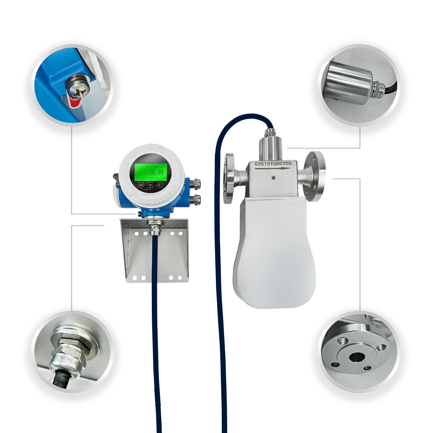 High-Accuracy Coriolis Mass Flowmeter With Remote Monitoring For Smart Factories