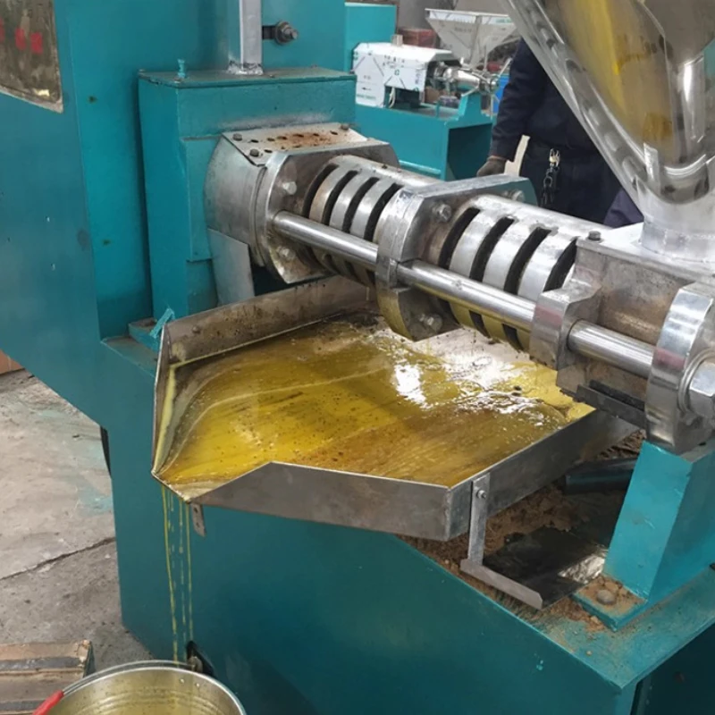 Screw Oil Press Machine  Peanut Hazelnut Coconut Sesame Soybean  Avocado Sunflower Oil Pressing Machine Oil Presser