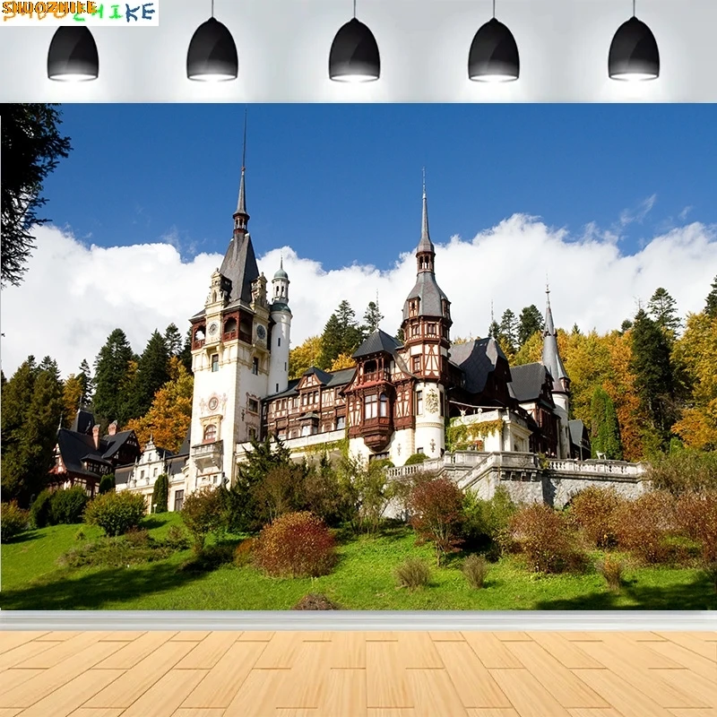 Beautiful Castle Architecture Staircase Photography Backdrops Medieval Fantasy Hallway Bookshop Cathedral Photo Background CT-03