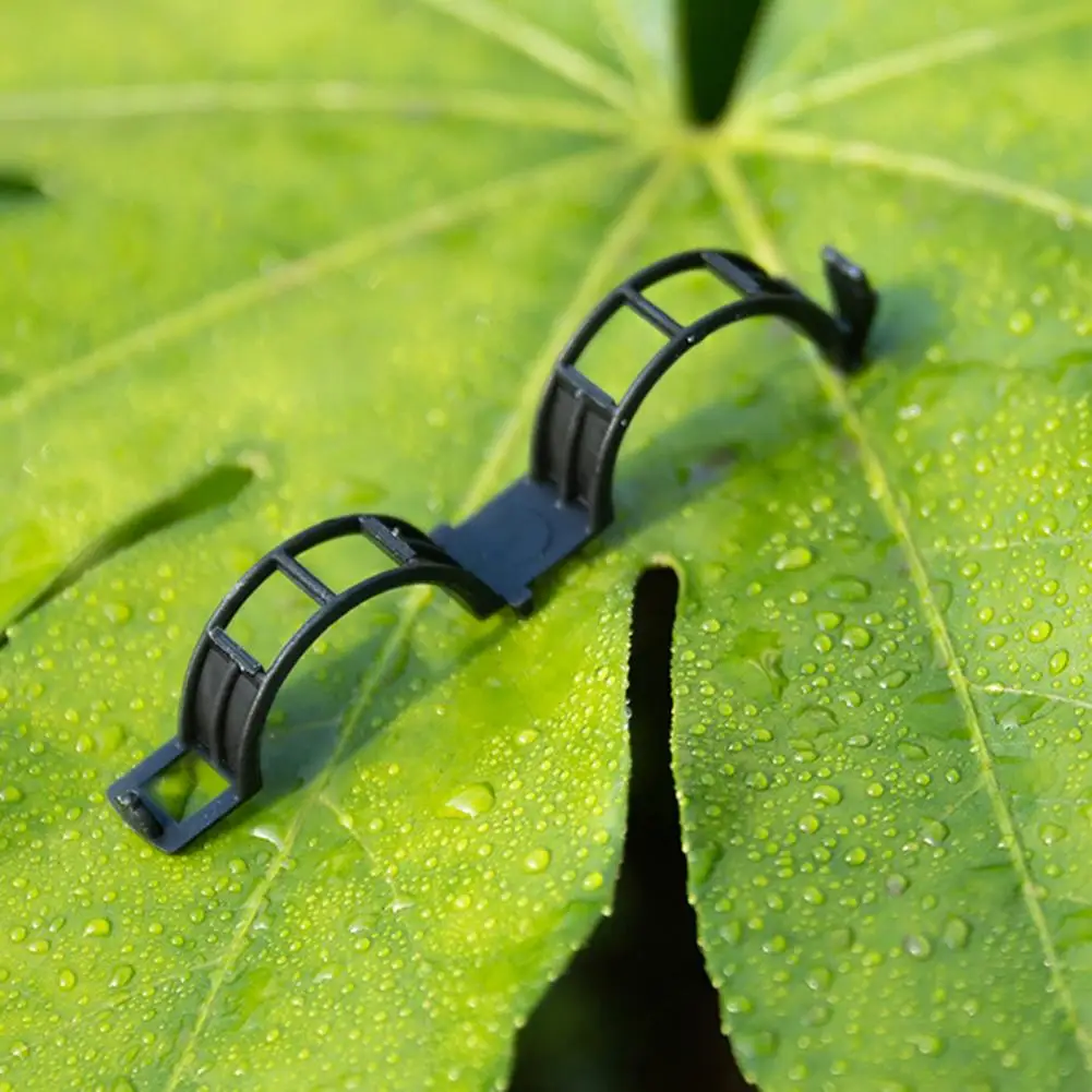 50/100Pcs 2.5cm Plant Clips Plastic Plant Support Clear Tomato Hollow Stem Support Clip For Vertical Gardening Climbing Plants