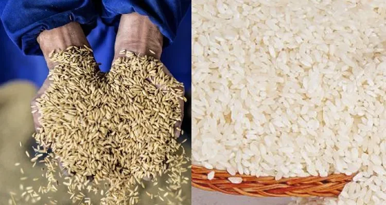 Macchina per macinare il riso combinata multifunzionale completa a basso prezzo in vendita