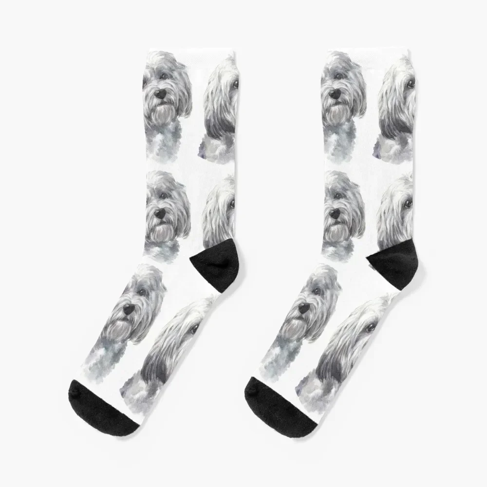 

Cute White Havanese Watercolor Art Socks retro with print winter gifts Socks Women's Men's