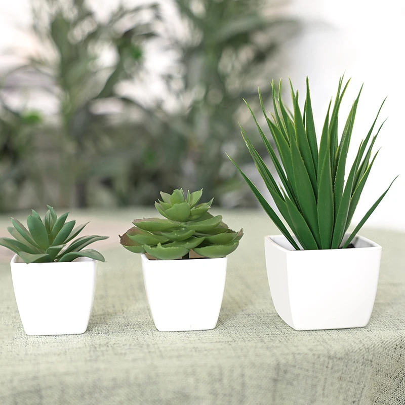 1SET(3PCS) Simulation Succulent Small pot Combination Home School Store Bookcase Bathroom Garden Decoration23127ZH3