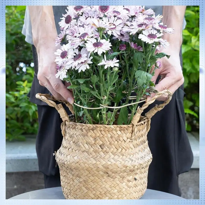 AD-Monstera Stem Support 5Pcs Plant Support System For Monstera & Turtle Shell Plants-Quality Leaf Clamps