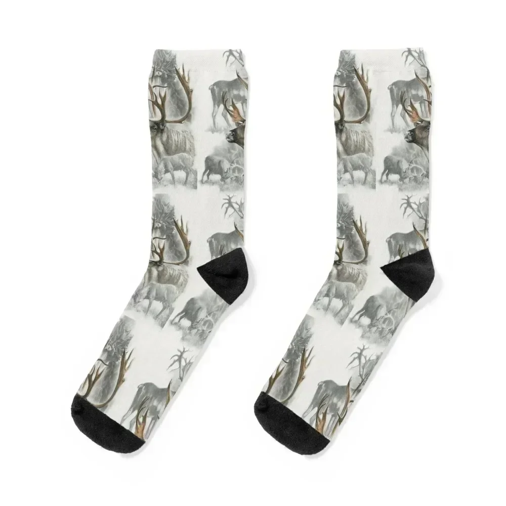 Caribou Collage Socks set new year Toe sports Men's Socks Women's