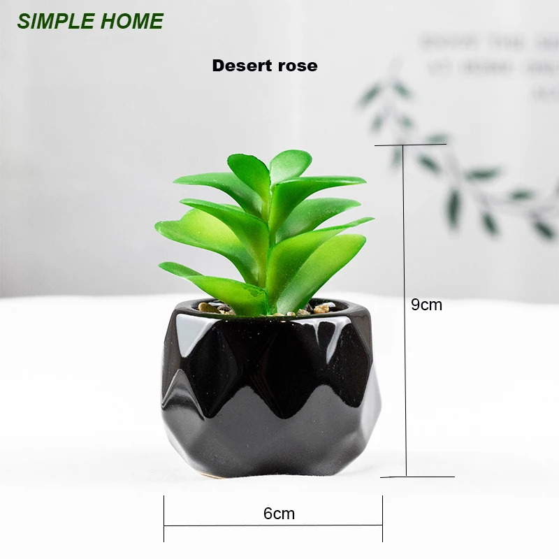 Künstliche saftige Bonsai-Pflanzen mit Keramiktopf für Raumdekoration, Bürotisch, Hausgarten-Dekoration – Detail 3