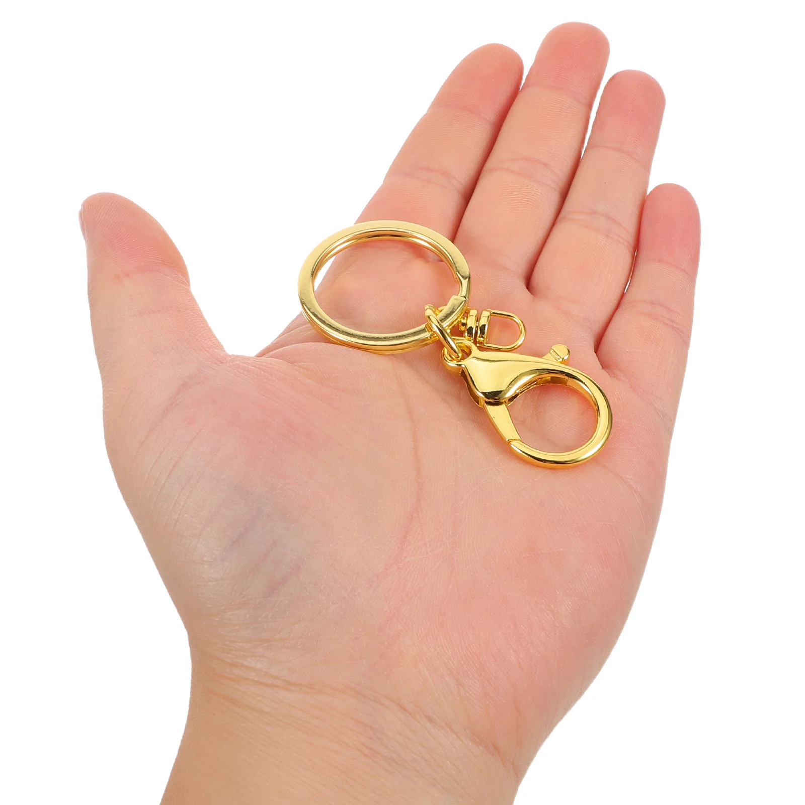 

20Pcs Multifunctional Keyring Lobster Claw Metal Snap Hook Durable Keychains for Car Keys Bag Charms Jewelry Clips