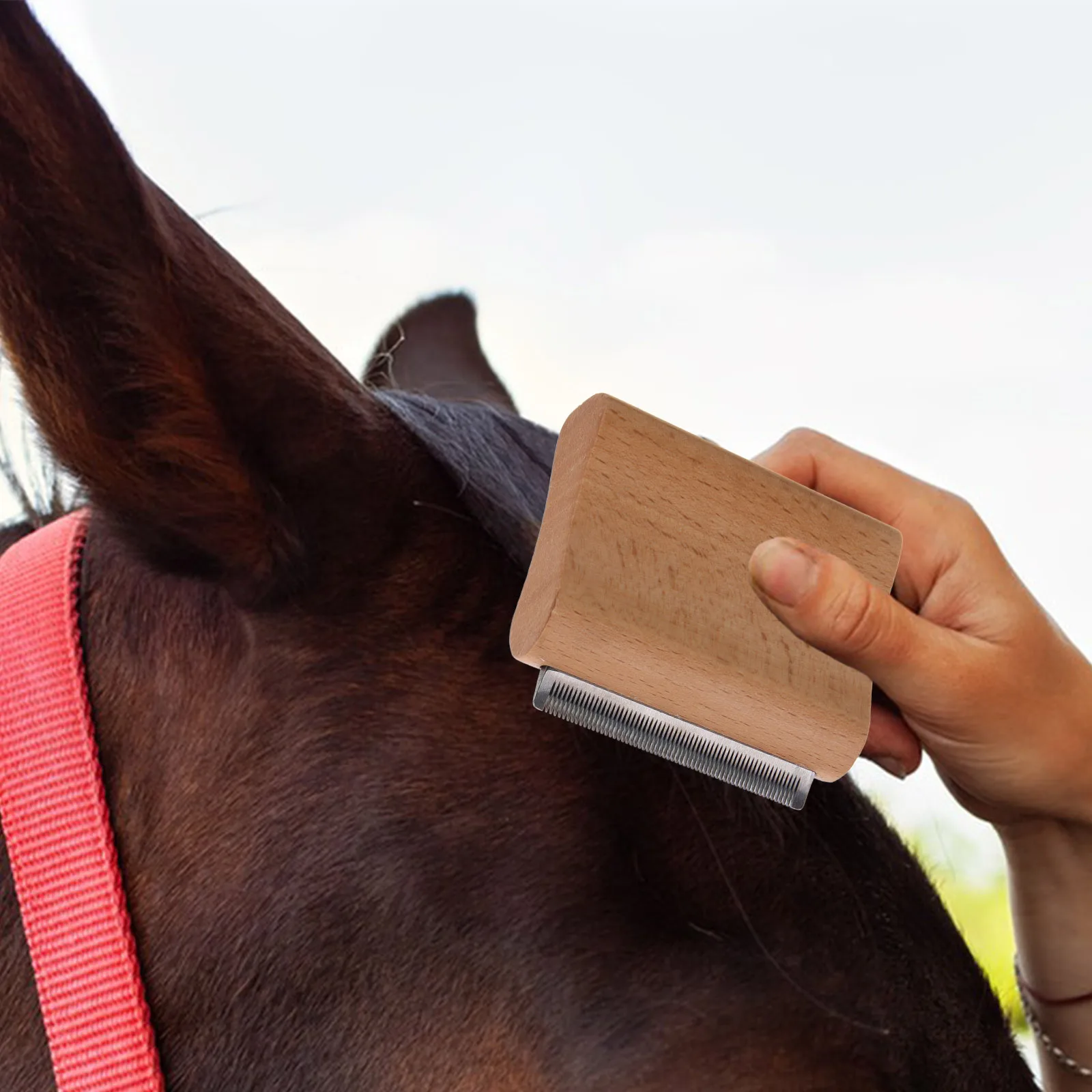 

Pet Hair Horse Cleaning Scraper Comb 7.5cm Stainless Steel Wood Grooming Scraper Cattle Horse Dog Deshedding Massaging Tool
