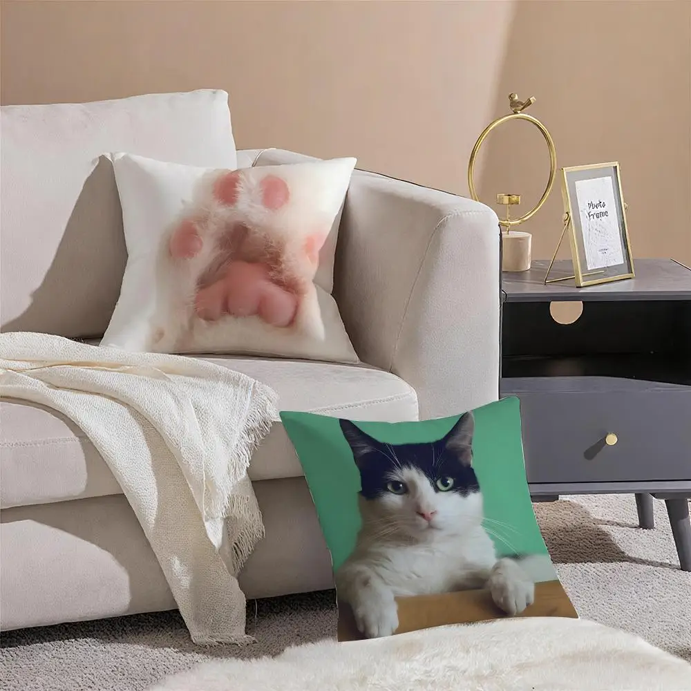 Curious Cuddly Art C-Cats Cushion Cover Sofa Home Living Room Car Decor Washable Decorative Square Pillowcase