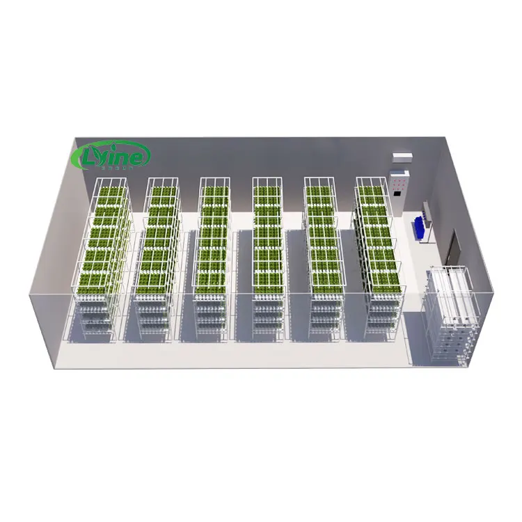 Agricultural Greenhouses Lettuce Nft Hydroponics System Vertical Hydroponic Growing Racks Nft System Farm