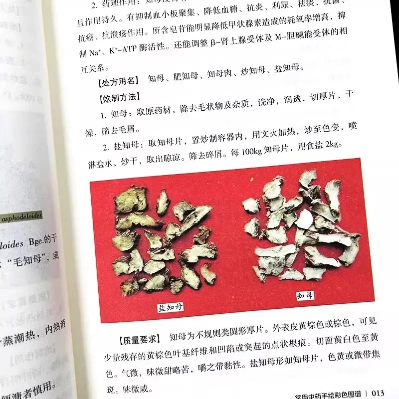 Hand-Painted Color Guide to Common TCM Herbs: Illustrated Atlas for Herbal Identification & Botanical Recognition