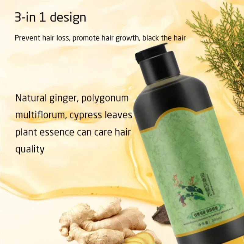 

Polygonum multiflorum hair care treatment for black hair shampoo