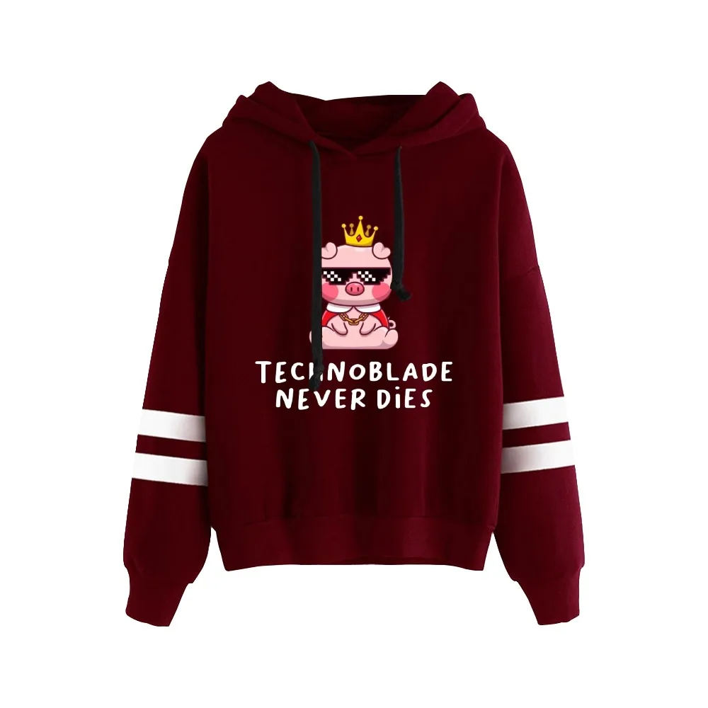 Technoblade Nooit Dies Unisex Zakloze Parallelle Staven Mouw Sweatshirt Dames Heren Hoodie 2022 Rust in Vrede Kleding