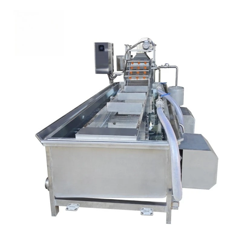 Industrial Vegetable Cleaning Machine with Bubble Washing System | Automatic Fruit Processing Equipment for Food Production Line