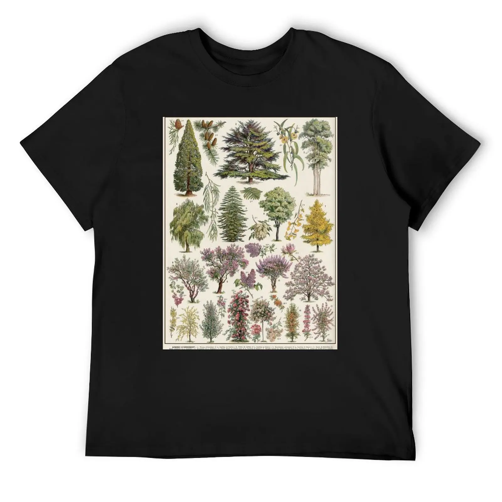 Jardins (Arbres D'Ornement) 1 Vintage French Illustration - Ornamental Trees by Millot T-Shirt blanks funny t shirts men