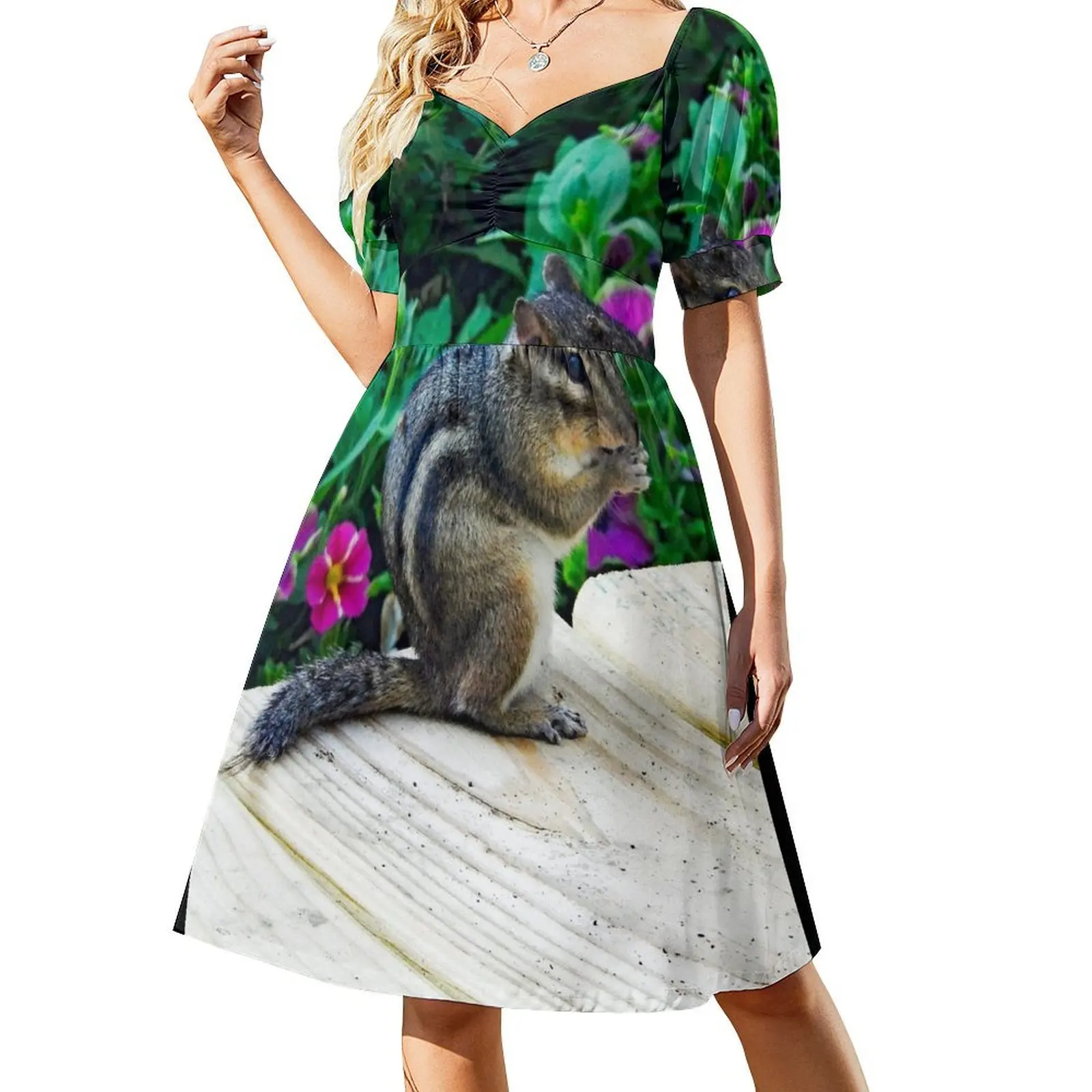 

Chipmunk 224 Short-Sleeved Dress dresses for official occasions dress women elegant luxury