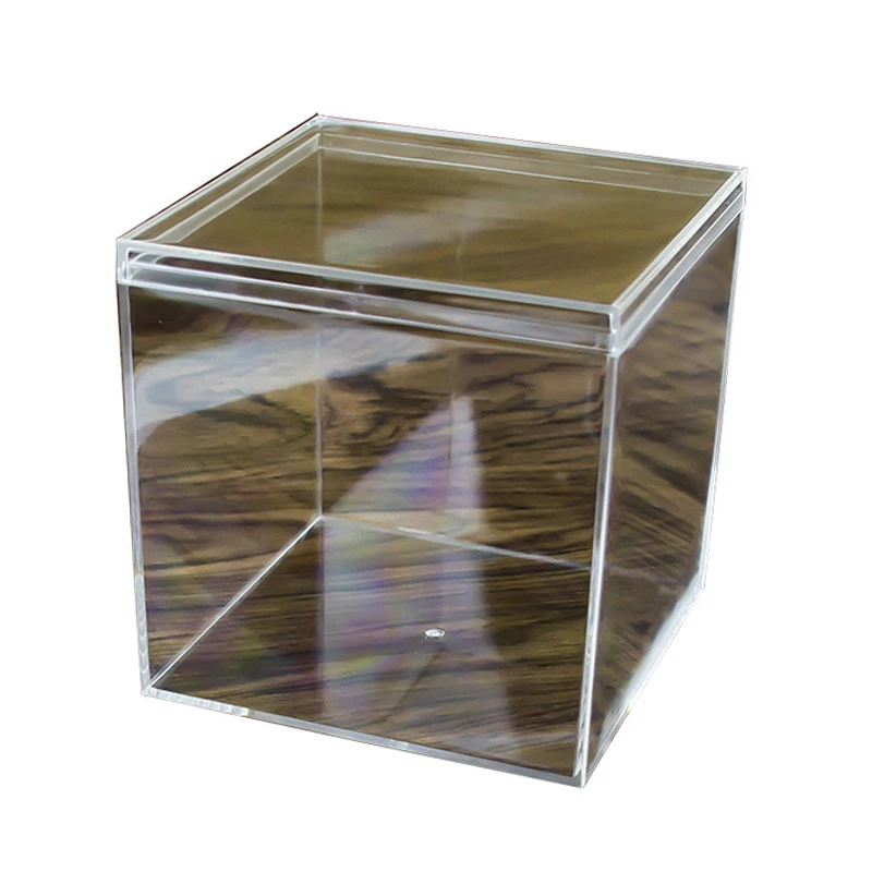 Boîte en Plastique Carrée Transparente pour Élevage, Mini Emballage de Boue de Clip pour Bonbons et Slime