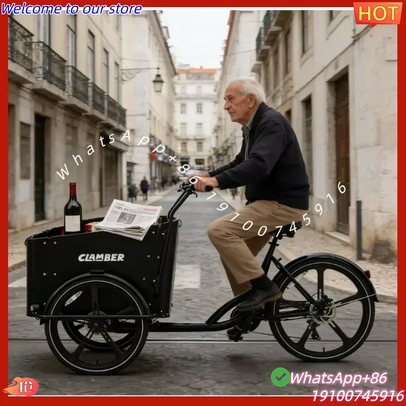 2026Hot Factory Price 8-Speeds Electric Cargo Bike 250W 3-Wheel Cargo Bike with 36V Battery Europe Stock 2