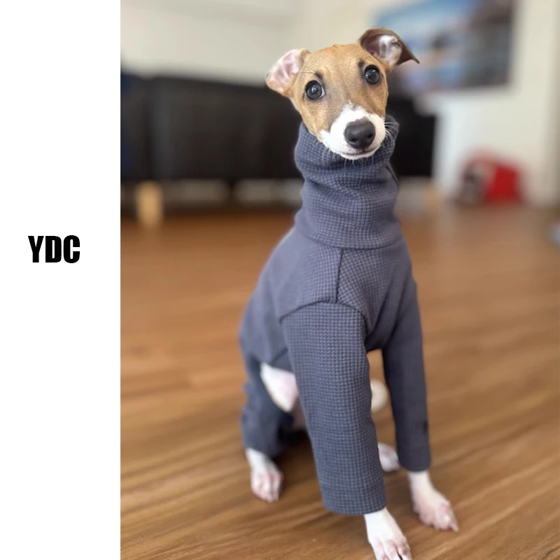 

Fashion Pet Turtleneck Clothing New Italian Greyhound Aytumn Winter Dog Clothes For Small Media Large Greyhound Dog Clothes