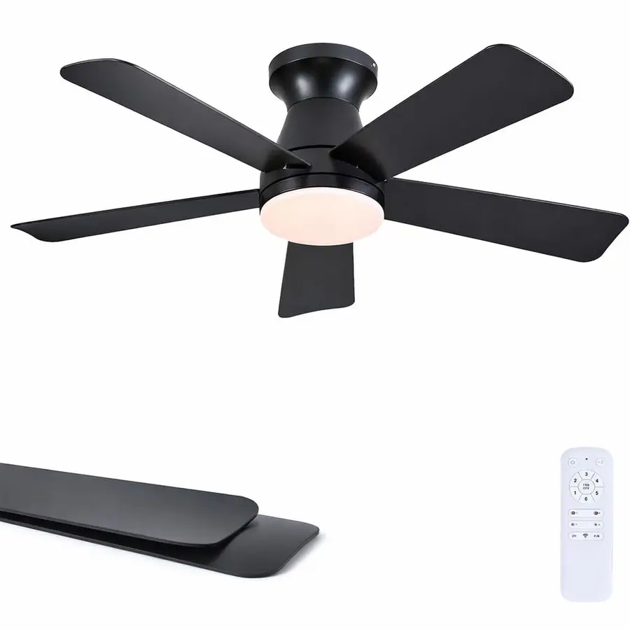 Black Low Profile C…