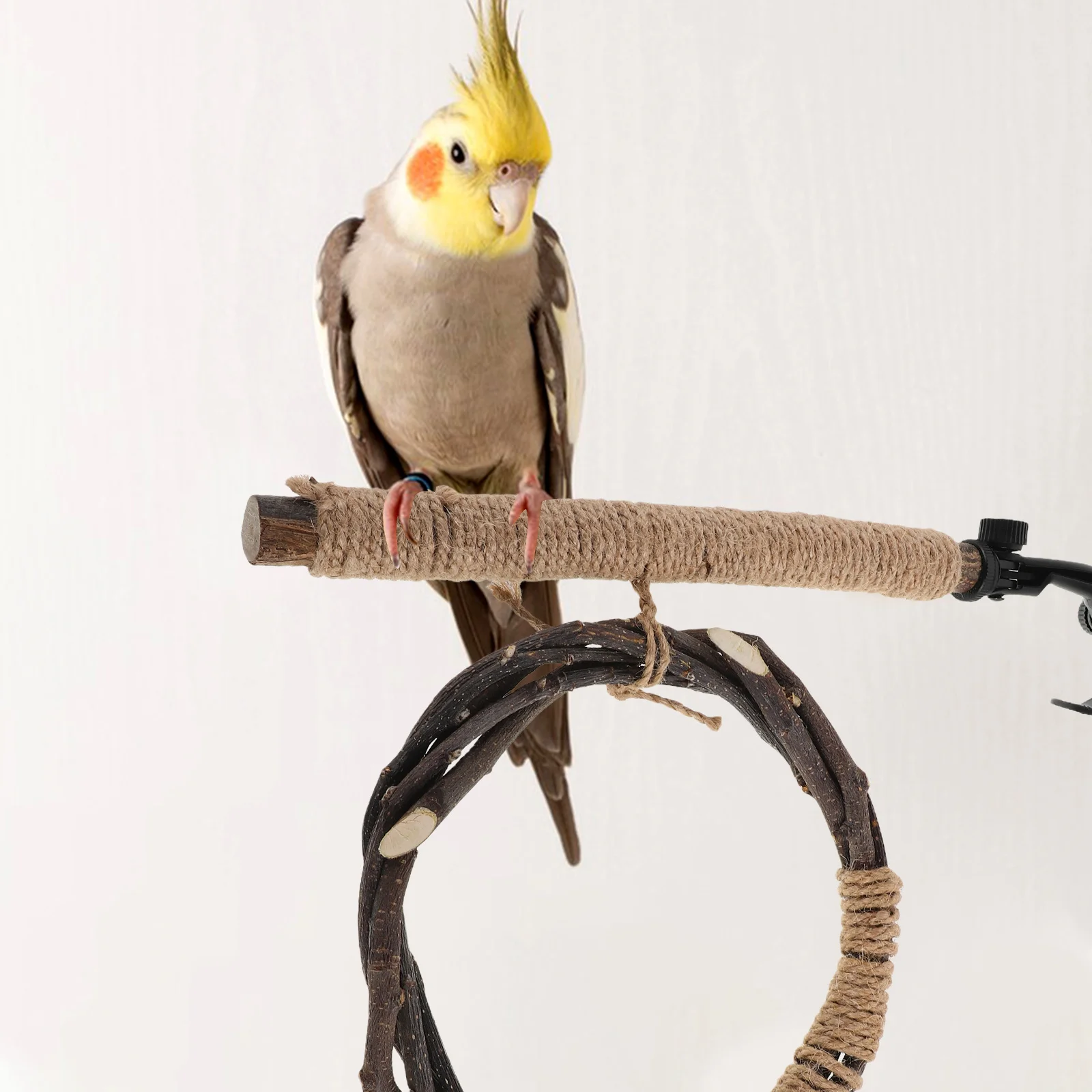 

Natural Wood Bird Perch Stand with Strong Suction Base U-Shaped Rope Ladder for Parrot Cockatiel Budgie Macaw Indoor Outdoor
