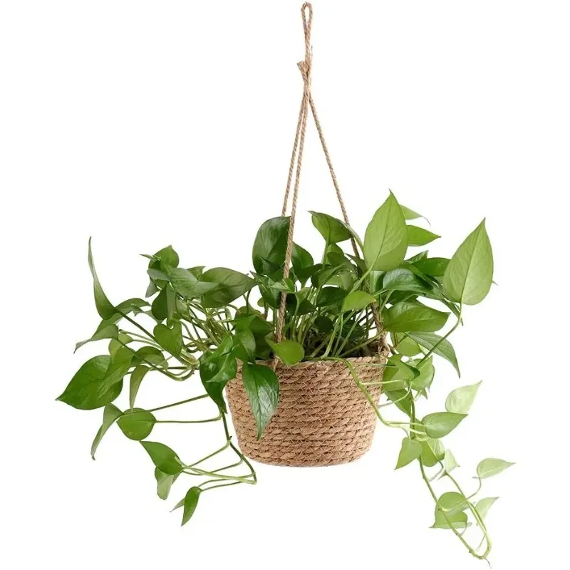 Hanging Basket Jute Rope Hanging Basket Foldable Seagrass Macrame Basket for Succulent Plants Indoor Outdoor Decor