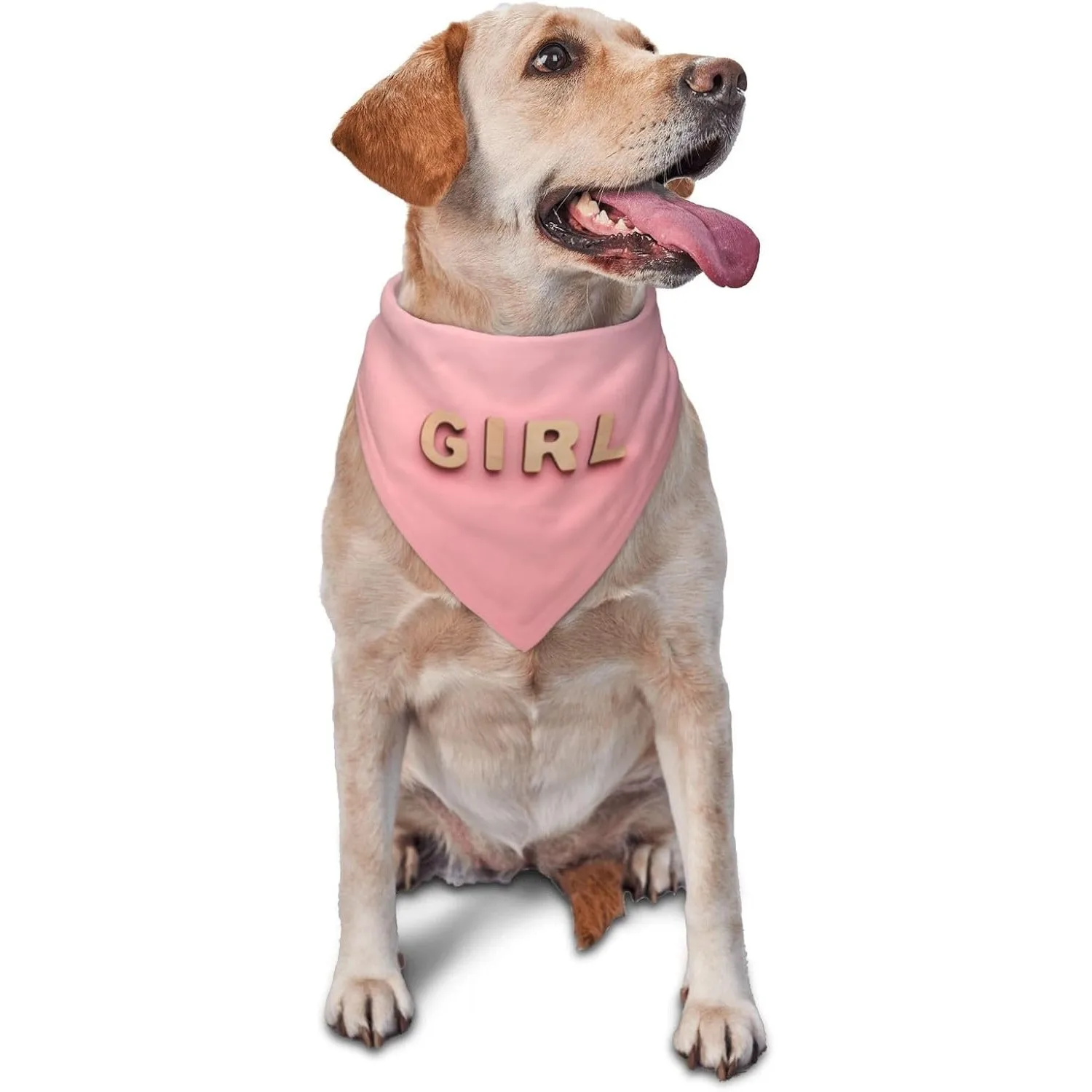 It's A Boy It's A Girl Gender Reveal/Baby Announcement Dog Bandana,Engagement Bandana,Pet Dog Triangle Scarf Reversible