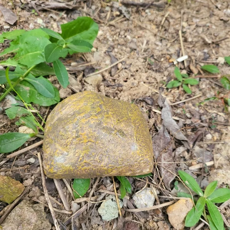caixa-de-armazenamento-secreta-em-resina-com-aparencia-de-pedra-realista-para-chaves-e-dinheiro-recipiente-de-deposito-privado-para-casa-e-escritorio