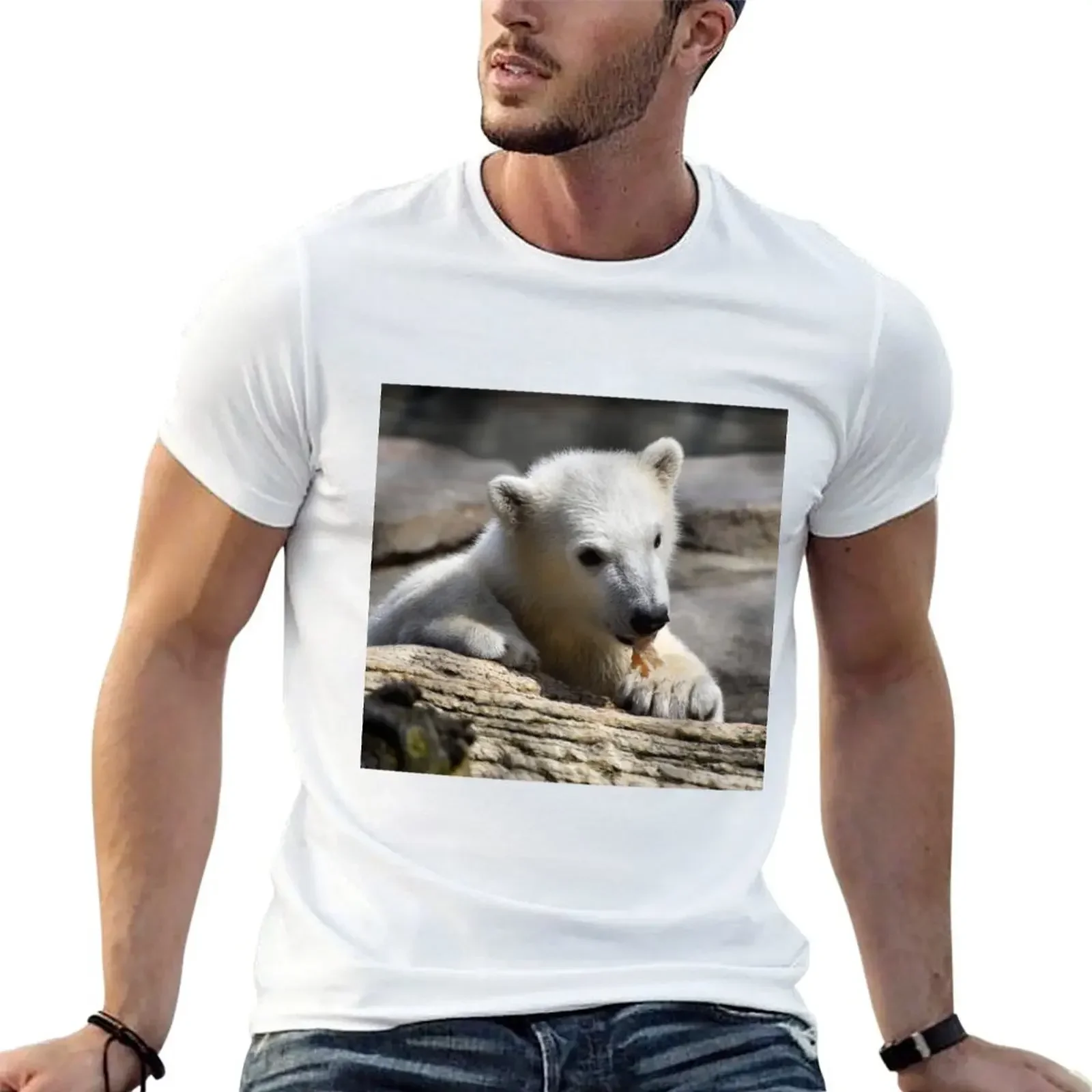 Polar Bear Cub at the Toledo Zoo T-Shirt anime figures vintage anime shirt summer top plain black t shirts men