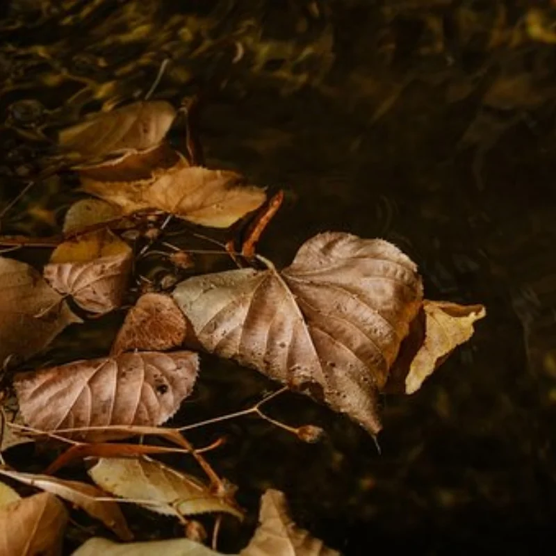 

Металлический стальной приводной вал CVD, приводной вал для 1/10 гусеничного автомобиля, осевой SCX10 Capra Wraith Trxs TRX4 TRX6 Redcat GEN8 CC01