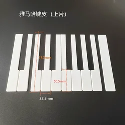 Piano accessories white keys leather on the piece Applicable to Y M H
