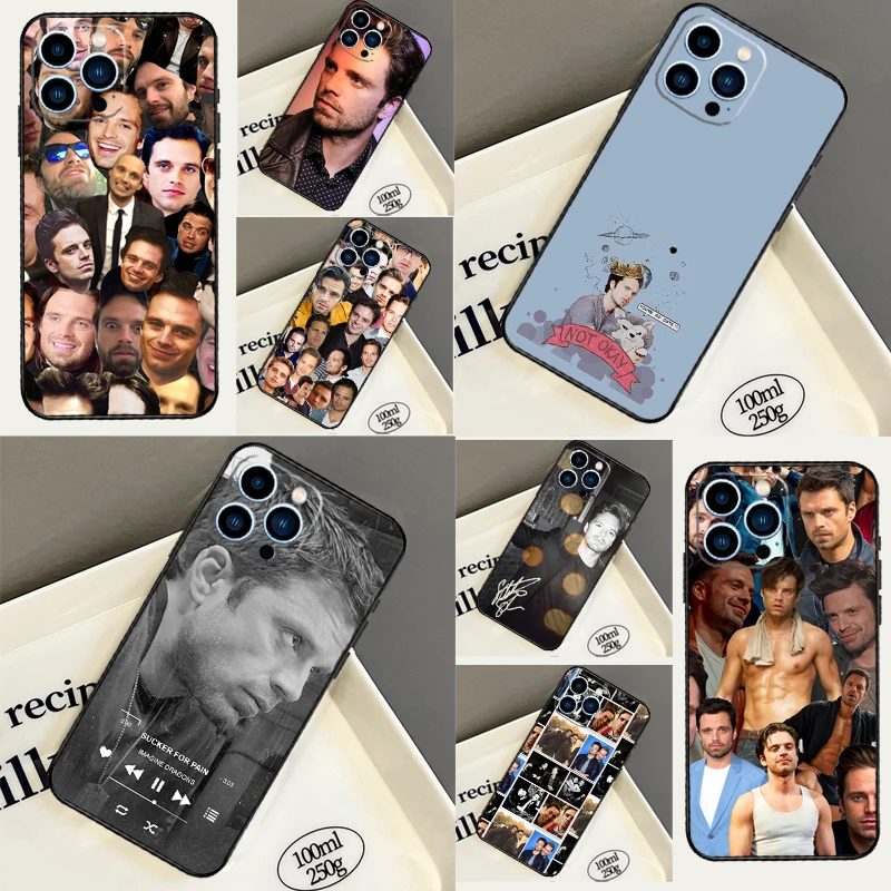 Sebastian Stan Case… - image