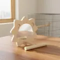 Lion Mirror Stand
