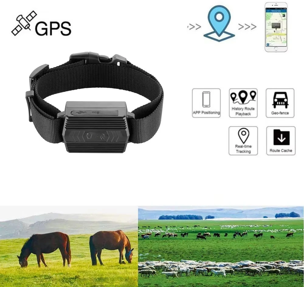 

Real Time GPS Tracker Tk935 for Large Animal Tracking Gps Device Gps Para Vacas