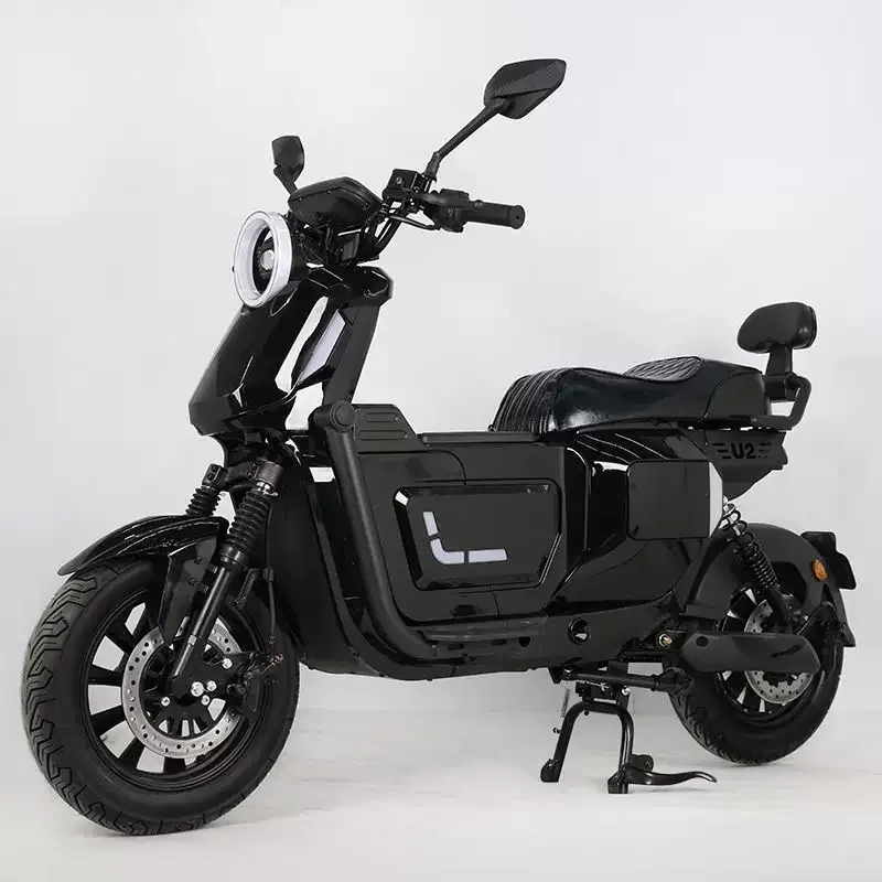 EEC 2000W Brushless Lithium BatterY Hub Motor Electric Motorcycles City Bike Long Range Disc Brake Digital Display 3-Speed