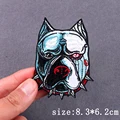 PE7762CT