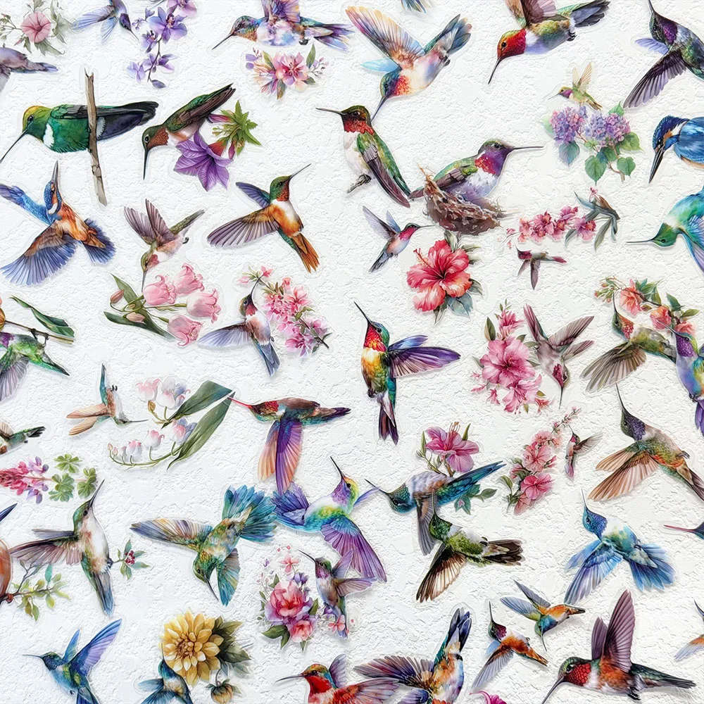50 Stück Kolibri-PET-Aufkleber für Telefon, Laptop, Notebook, Skateboard, Kühlschrank, DIY, ästhetische transparente Aufkleber – Detail 4